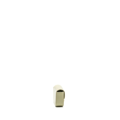 Celine Mini Claude Shiny Calfskin Pistachio