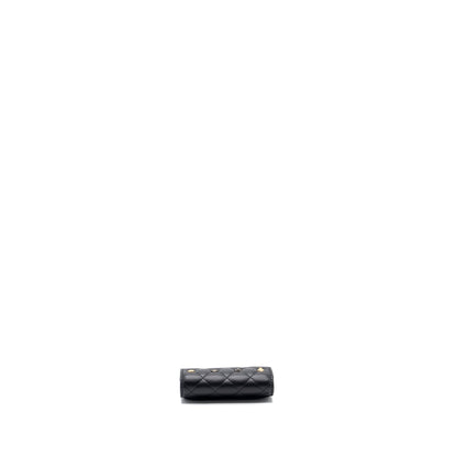 Chanel 23b Flap Card Holder Lambskin GHW(Microchip)