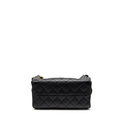 Chanel Small 25 Handbag Grained Calfskin Black GHW (Microchip)