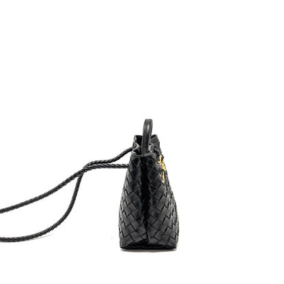 Bottega Veneta Small Andiamo Purse Lambskin Black