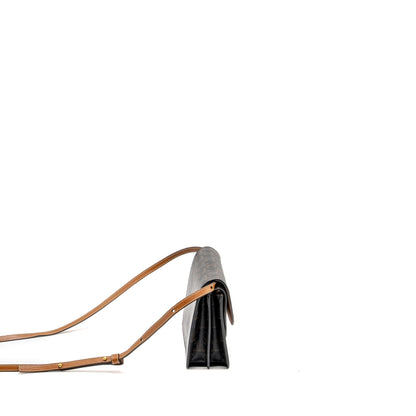 Luxury CELINE Wallet On Strap Triomphe Canvas /Smooth Lambskin Tan