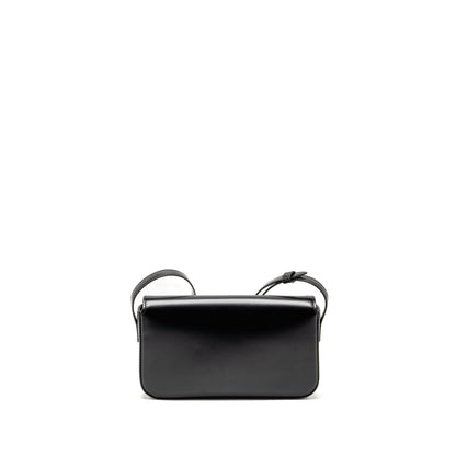 CELINE Triomphe Mini Purse Calfskin Black