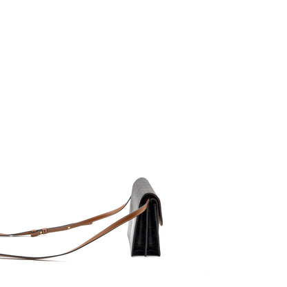 Luxury CELINE Wallet on Strap Triomphe Canvas/Smooth Lambskin TAN