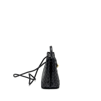 Bottega Veneta Small Andiamo Purse Lambskin Black