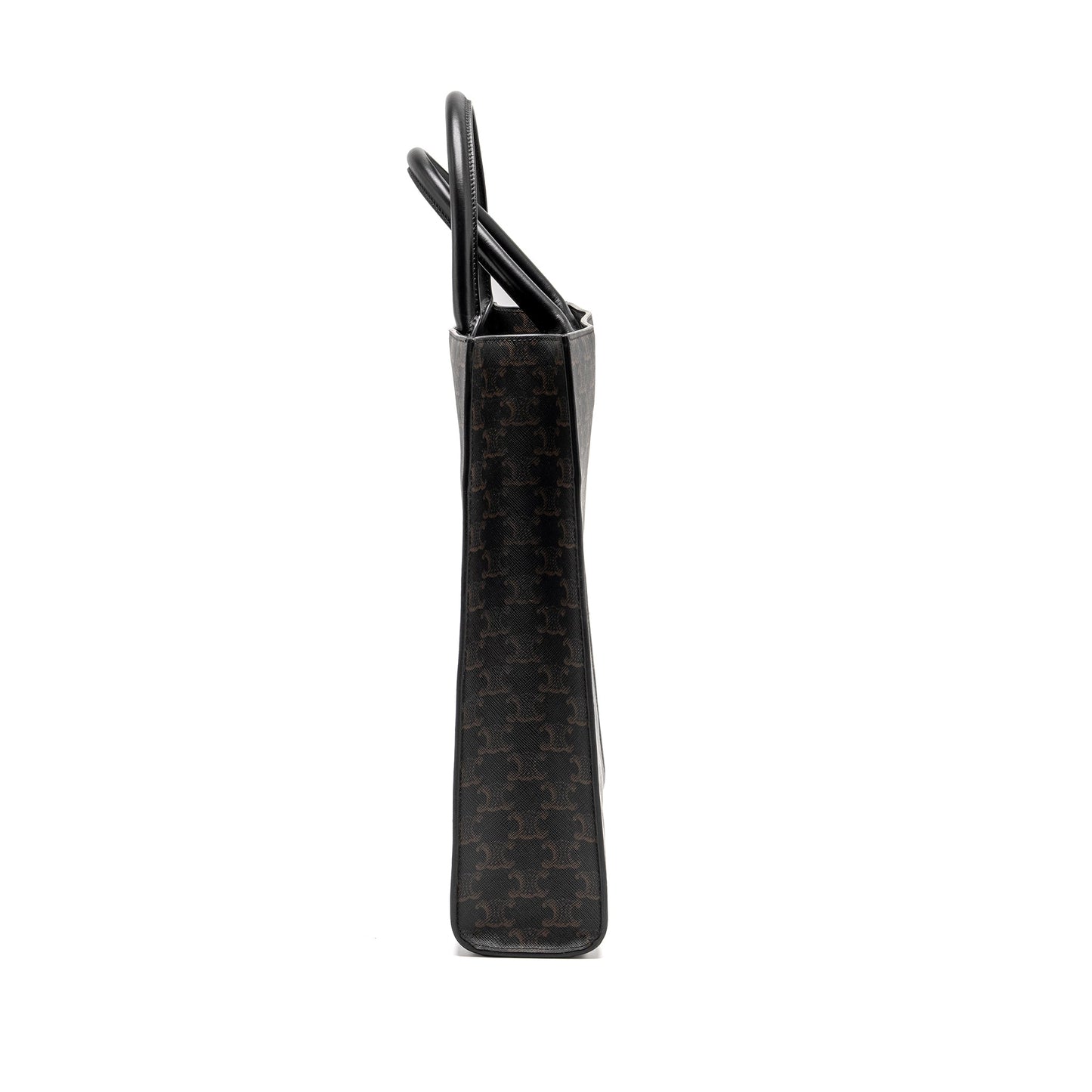 Luxury CELINE Vertical Cabas in Triomphe Canvas Black / Multicolour