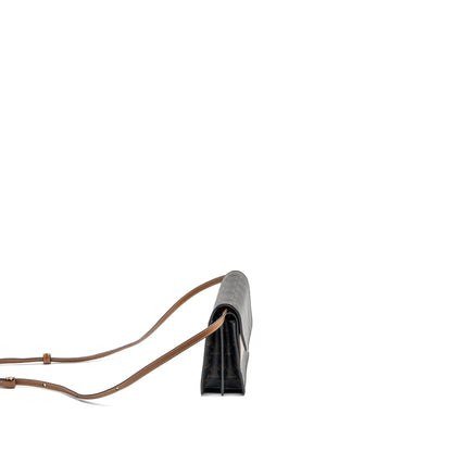 Luxury CELINE Wallet on strap Triomphe Canvas / Smooth Lambskin Tan