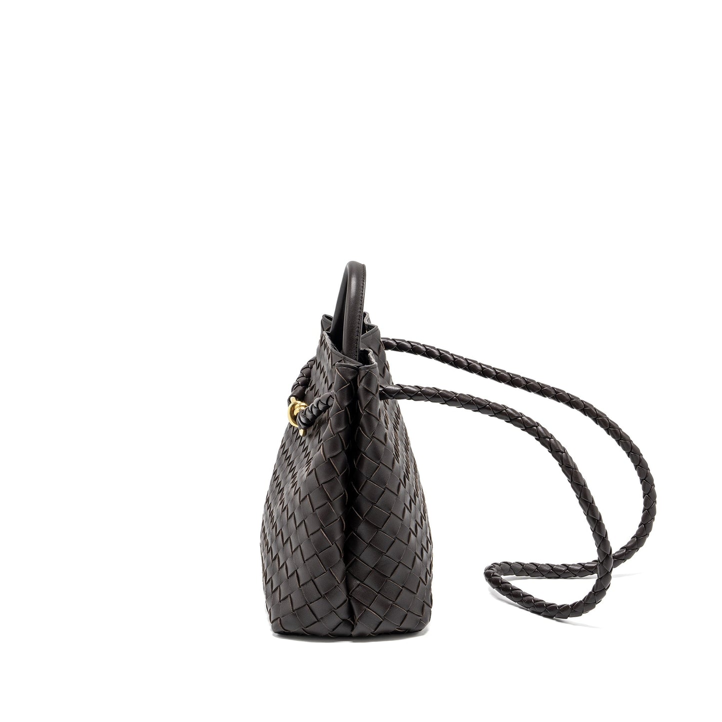 Bottega Veneta Medium Andiamo Purse Lambskin Fondant