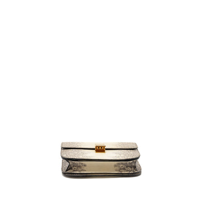 Celine Medium classic box Purse lizard Natural