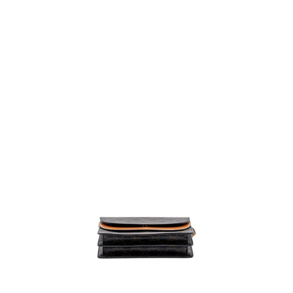 Luxury CELINE Wallet On Strap Triomphe Canvas/Smooth Lambskin Tan