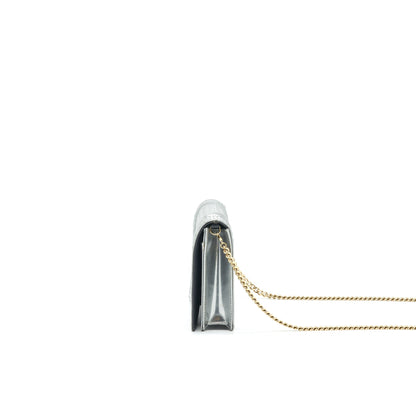 Dior Diorama Wallet on Chain Metallic Silver