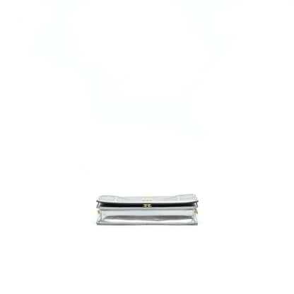 Dior Diorama Wallet on Chain Metallic Silver