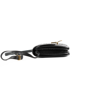 Luxury CELINE Box Python Bag Black