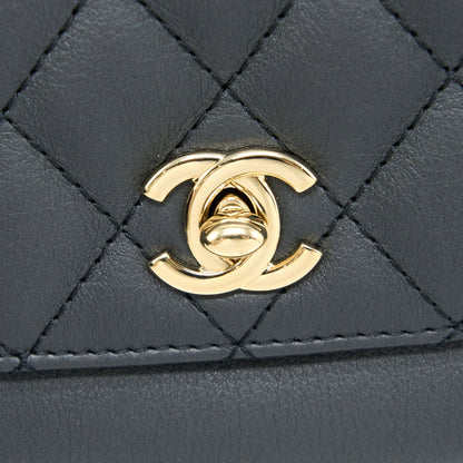 Chanel Quilted Waist Bag Calfskin Black LGHW