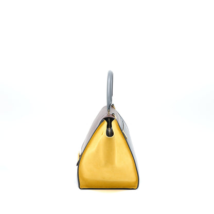 Celine Trapeze Purse Multicoloured