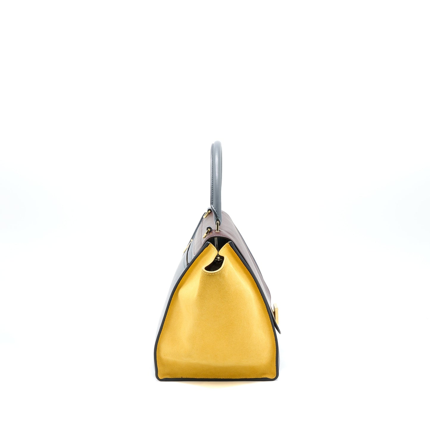 Celine Trapeze Purse Multicoloured
