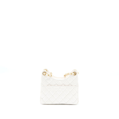 Chanel 23C Small Hobo Bag Shiny Calfskin White Brushed GHW (Microchip)