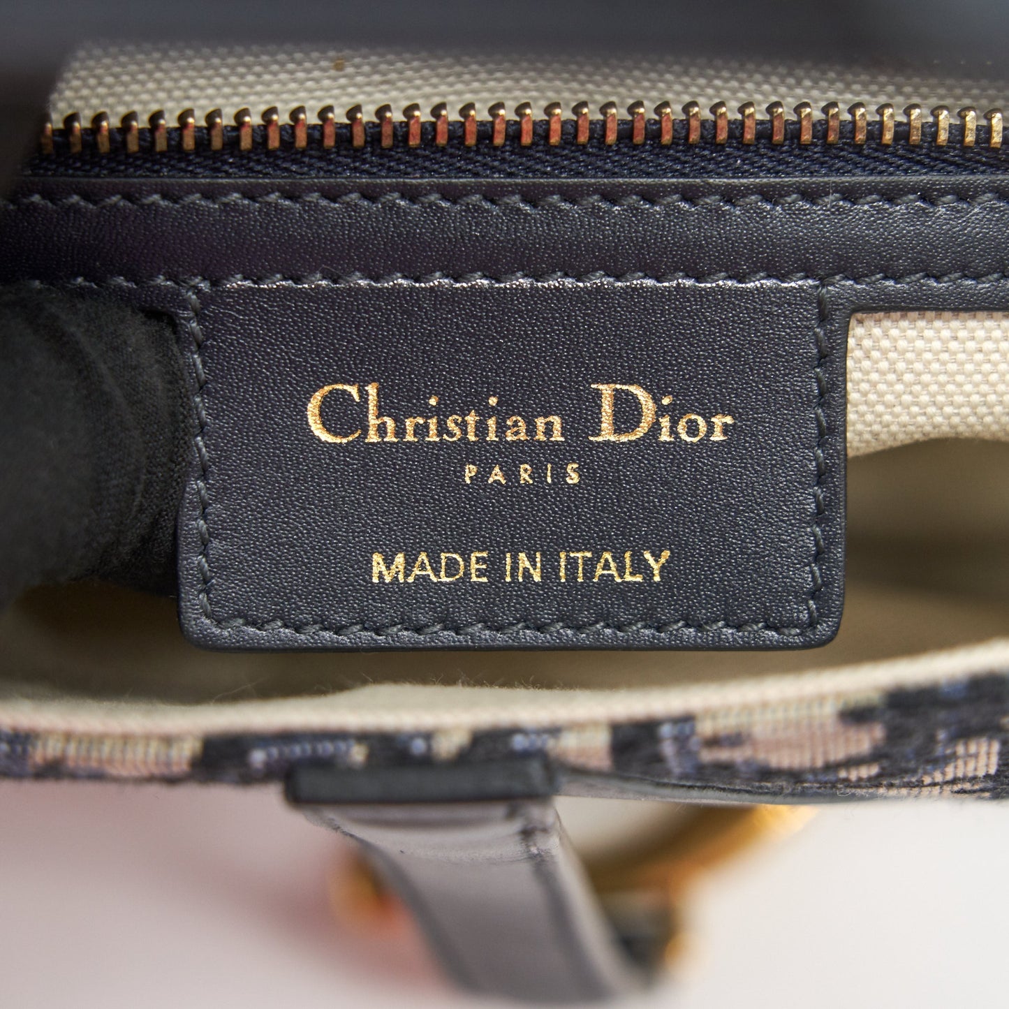 Dior Oblique Medium Saddle Bag