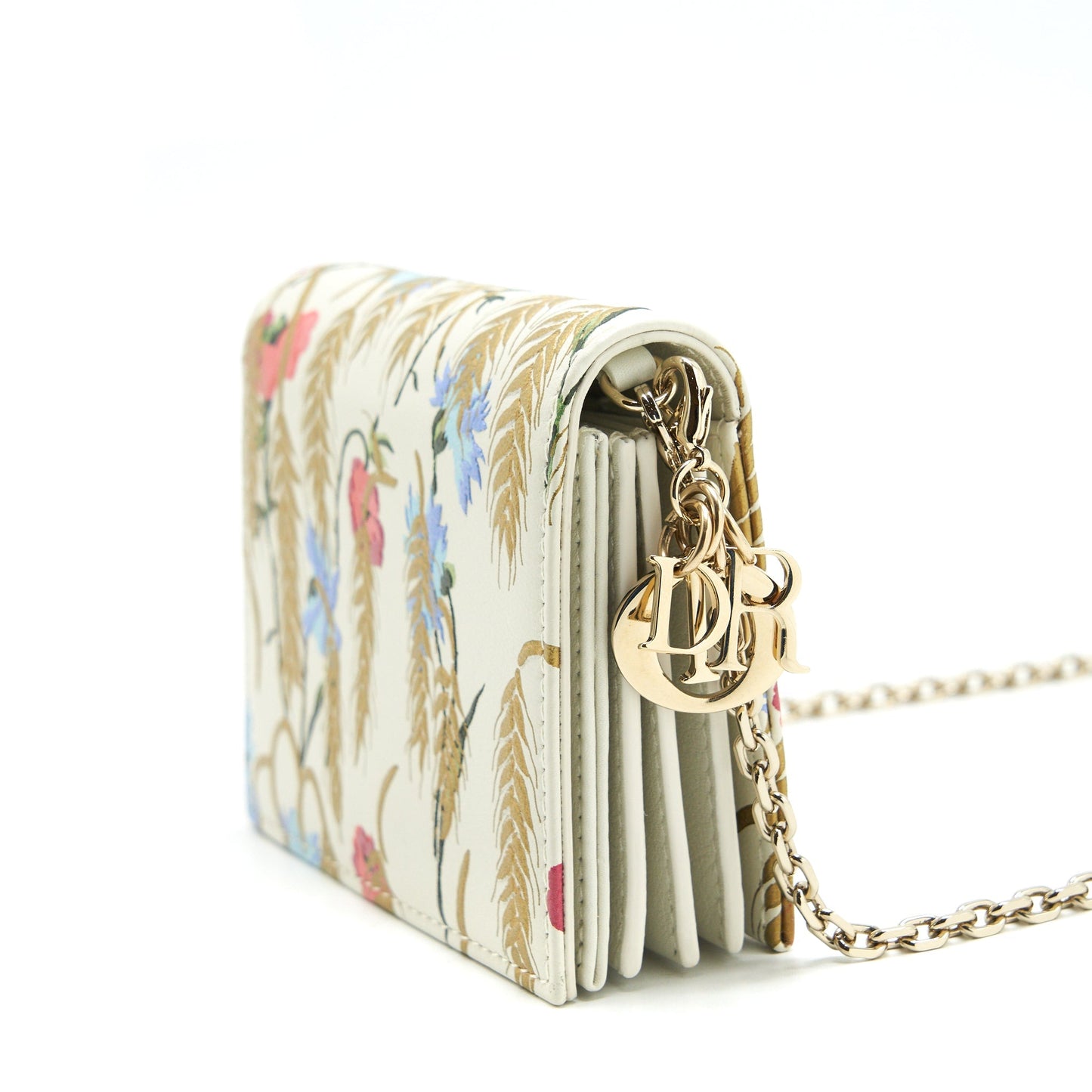 Dior Card Holder With Chains