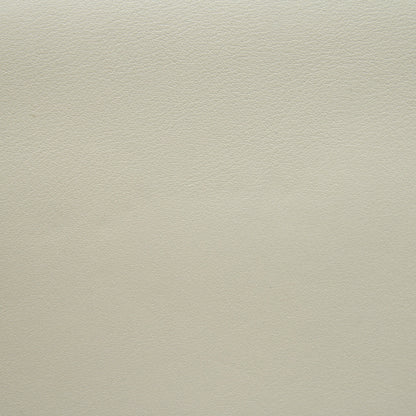 Dior Medium Dior Evolution Bag White with SHW