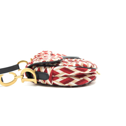 Dior Medium Saddle Bag Limited Edition
