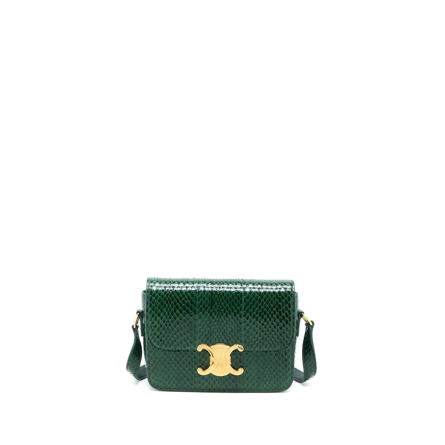 Celine Triomphe Purse Water Snake Leather Green