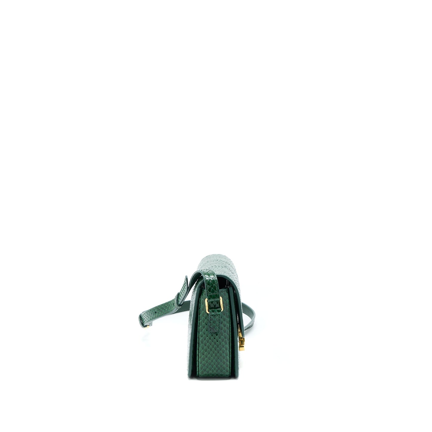 Celine Triomphe Purse Water Snake Leather Green