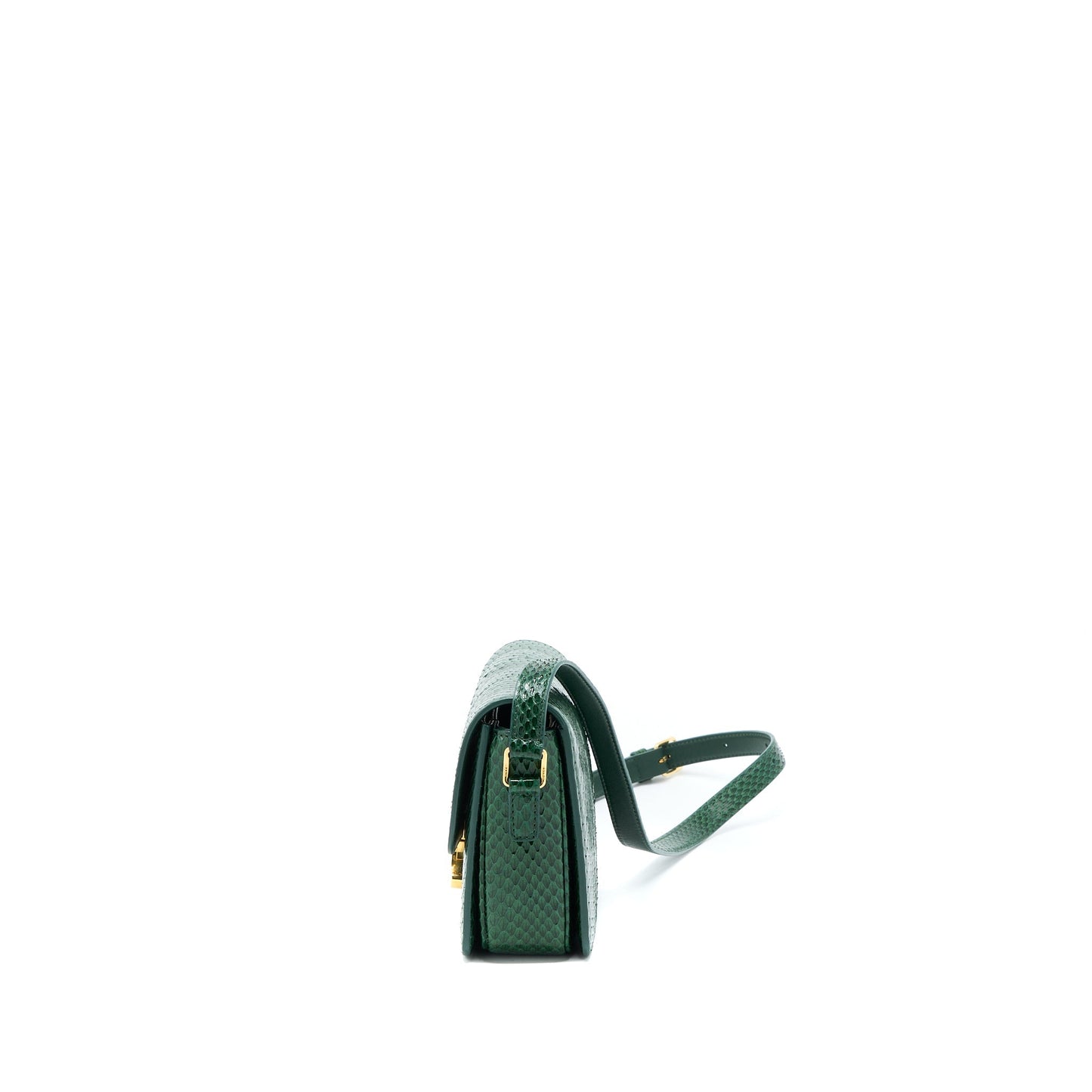 Celine Triomphe Purse Water Snake Leather Green