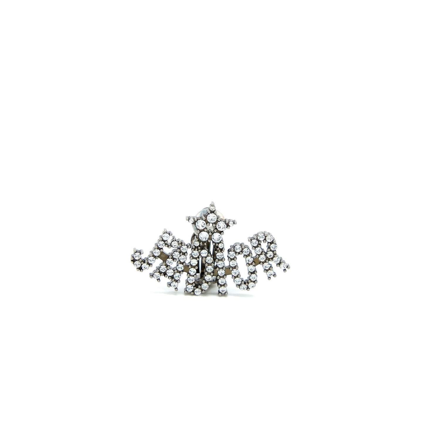 Dior Bee & Jâadior Earrings Silver Tone