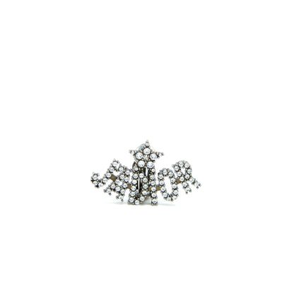 Dior Bee & Jâadior Earrings Silver Tone