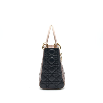 Dior Medium Lady Dior Bag Multi Color