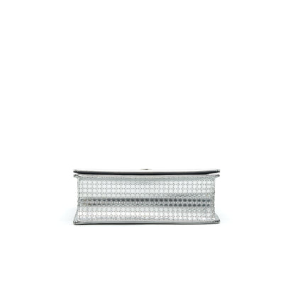 CHRISTIAN DIORAMA MEDIUM METALLIC SILVER