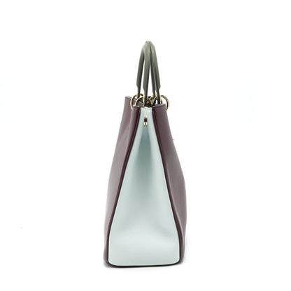 CHRISTIAN DIOR LARGE DIORISSIMO LEATHER HANDBAG MULTICOLOUR