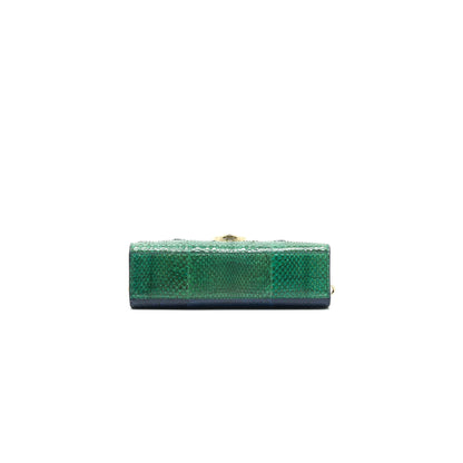 Christian Dior Python Clutch/ Crossbody Purse Multi Colour