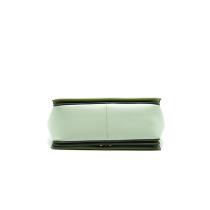 Celine Frame Purse Mini Purse Green