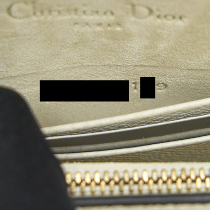 Dior Grained Calfskin Saddle Belt Pouche White GHW