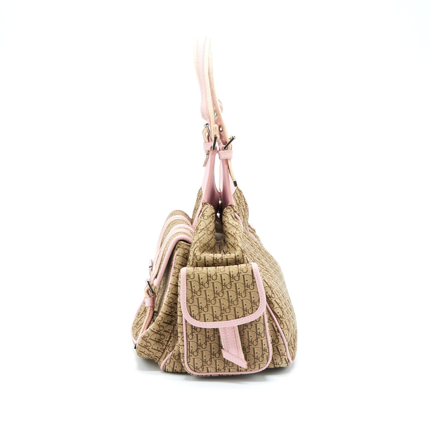 Dior Trotter Street Chic Pocket Diorissimo Hobo Purse Canvas