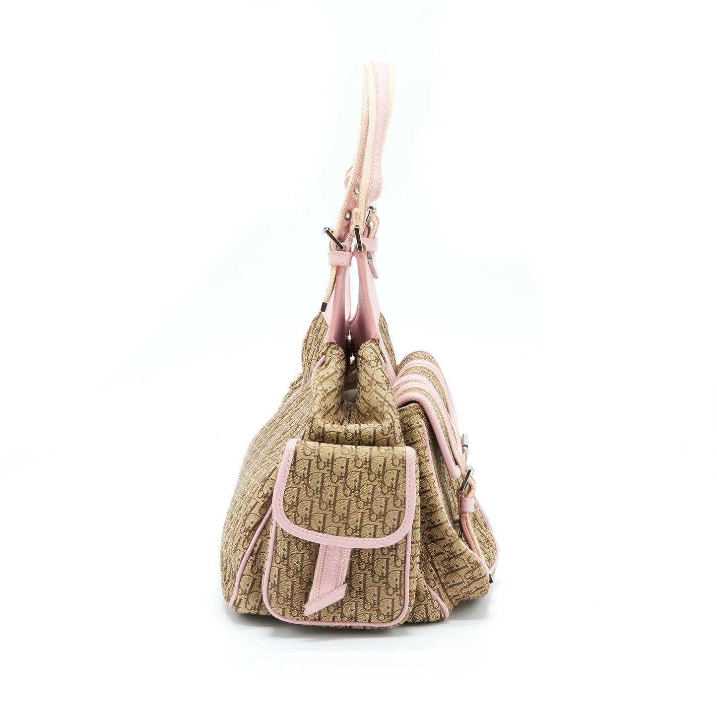 Dior Trotter Street Chic Pocket Diorissimo Hobo Purse Canvas
