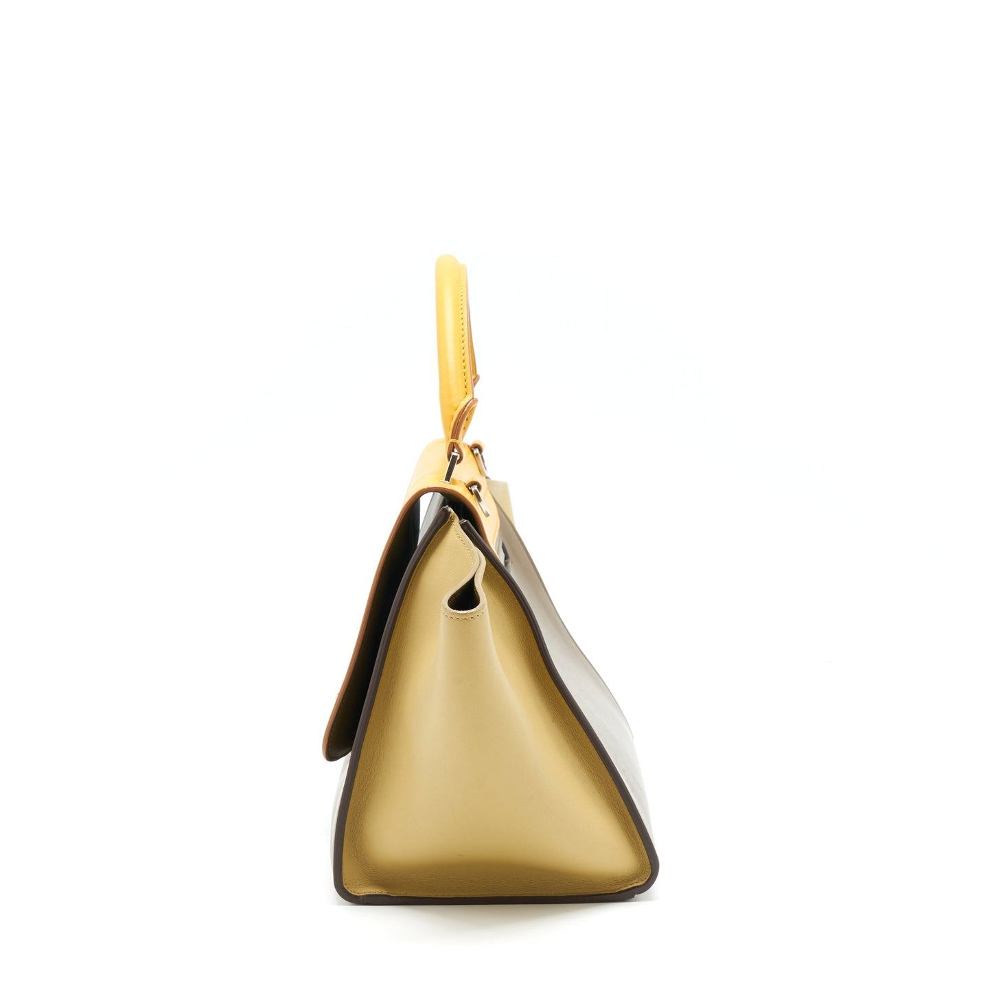 Celine Trapeze Purse Multicolour