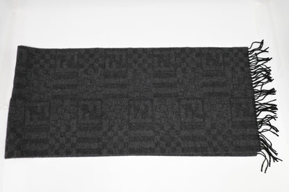 Fendi Scarf in Gray Wool