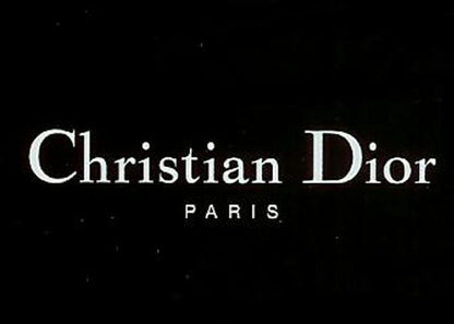 DIOR Satin Bee Karung Clutch