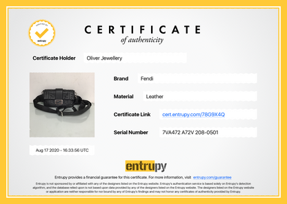 Fendi 2020 FF Zucca Logo Baguette Bag