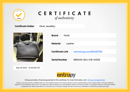 Fendi 2021 Mini Selleria Peekaboo Bag