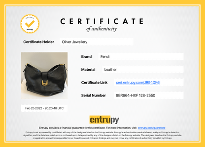 Fendi Chameleon Hobo