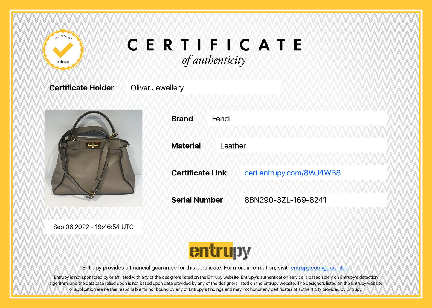 Fendi Medium Peekaboo Bag with Tortoise Detail