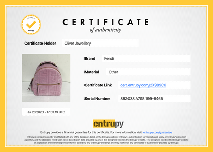 Fendi Velvet Mini Backpack