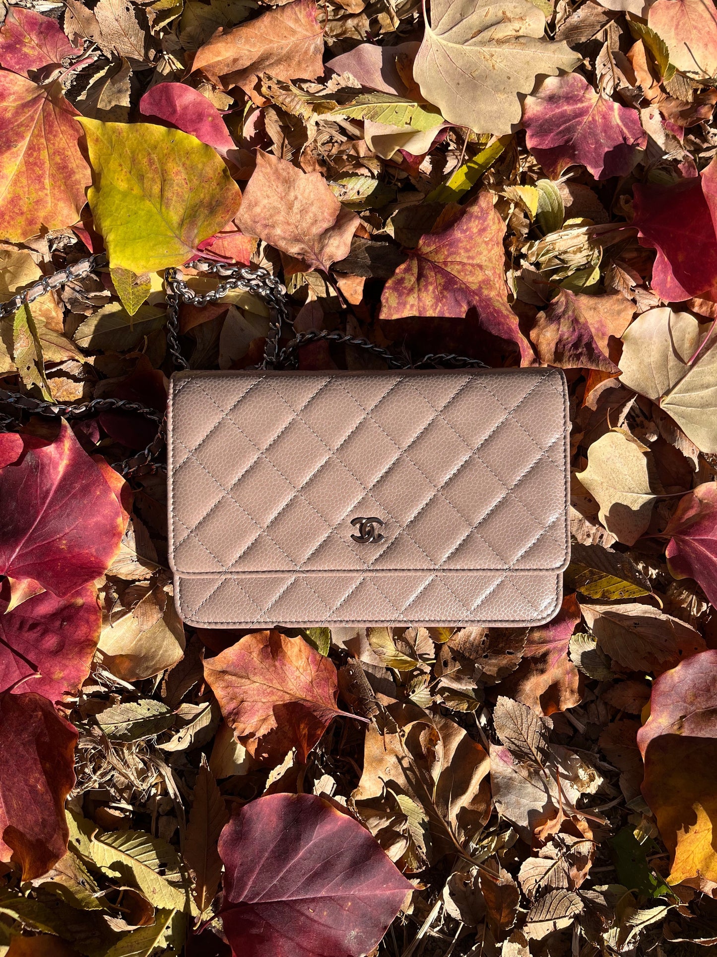 Chanel Wallet on Chain WOC Beige with Silver hardware