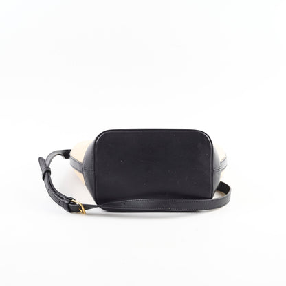 Luxury CELINE Triiomphe Canvas Calfskin Bucket Bag Beige/Black