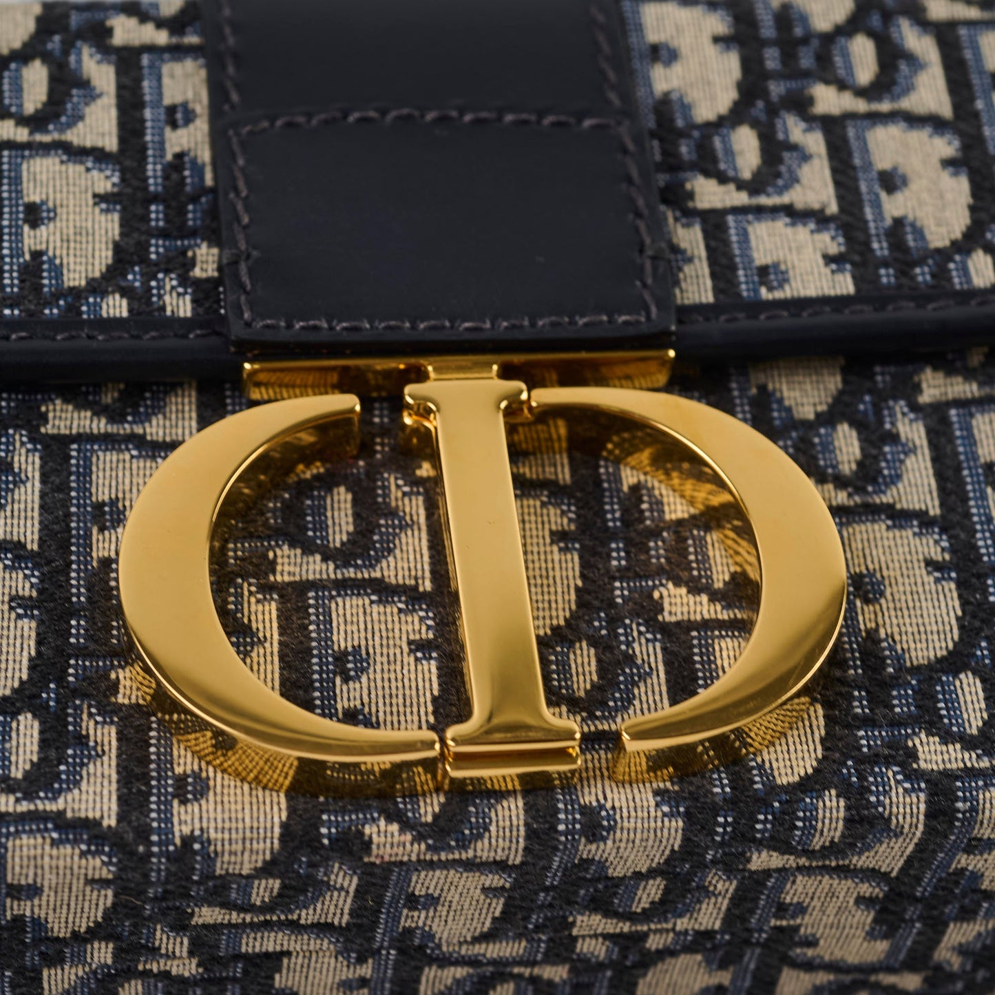 Dior Montaigne Mini Oblique