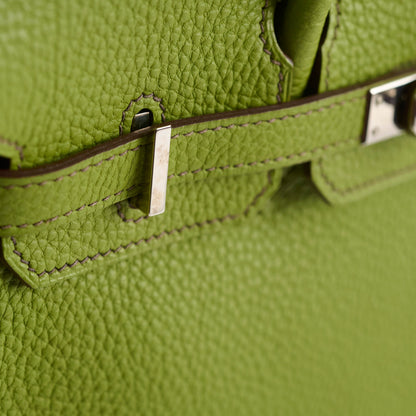 Hermes Birkin 25 Togo PHW Vert Anis M Square Stamp