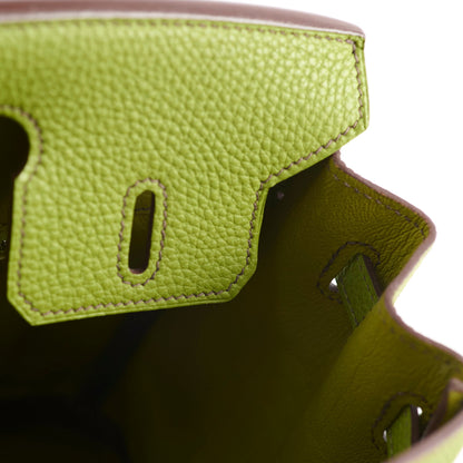 Hermes Birkin 25 Togo PHW Vert Anis M Square Stamp